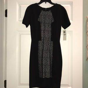 NWT French Connection Dress